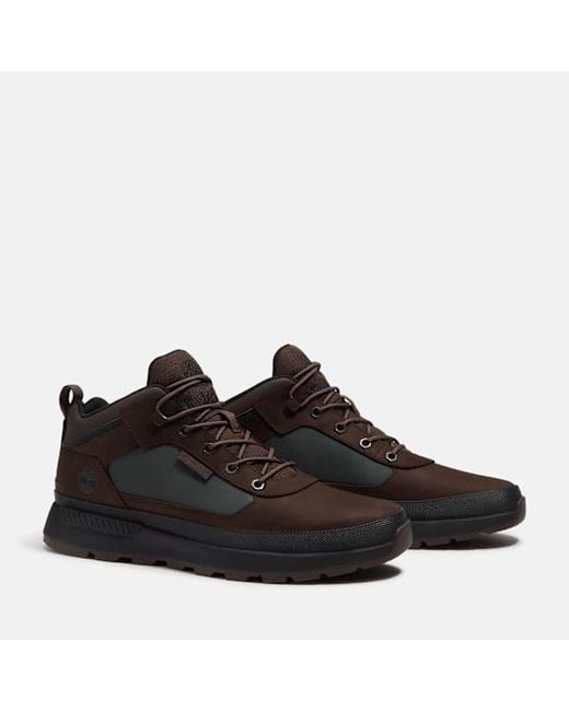 Timberland Brown Field Trekker Sneaker for men