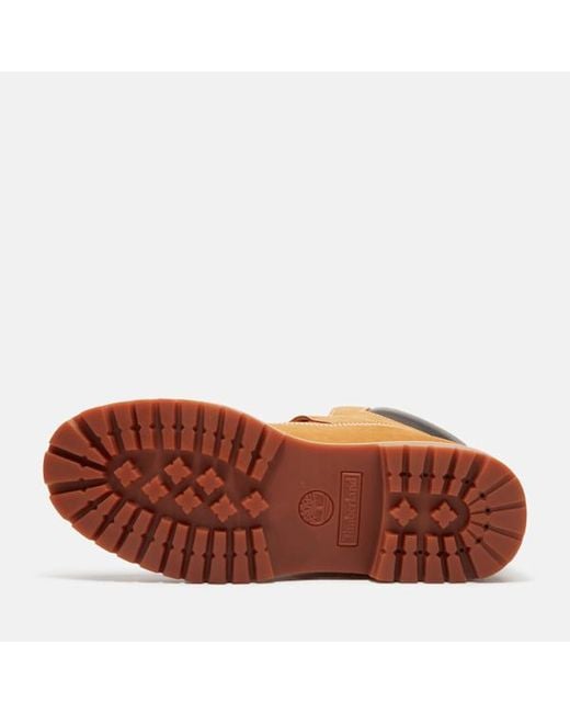 Timberland Brown X Beams Buckle Boot With Gore-Tex Membrane For for men