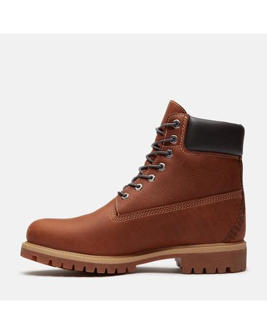 Timberland Brown Road Trip Premium 6-Inch Waterproof Boot For for men