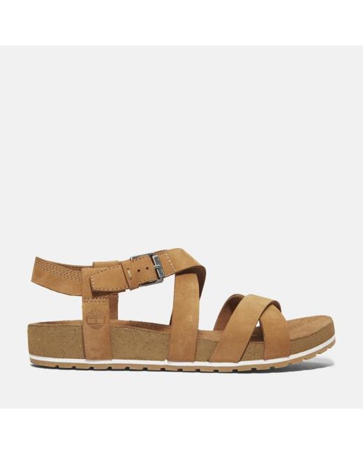 Timberland Brown Malibu Waves Backstrap Sandal For