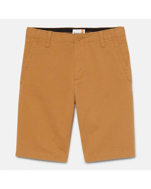 Timberland Brown Topsfield Twill Chino Short For for men
