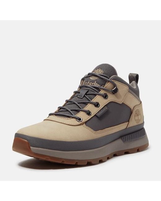 Timberland Brown Field Trekker Trainer For for men