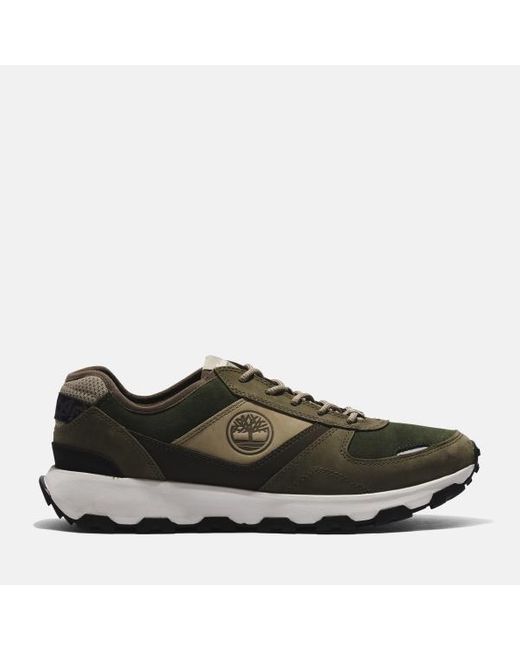 Timberland Brown Winsor Park Trainer for men