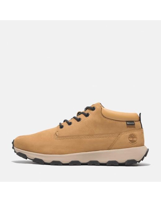 Timberland Brown Winsor Trail Leather Trainer for men