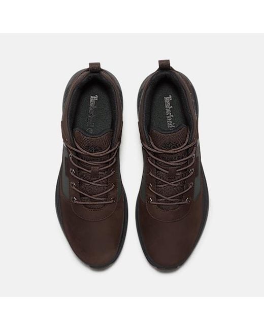 Timberland Brown Field Trekker Sneaker for men