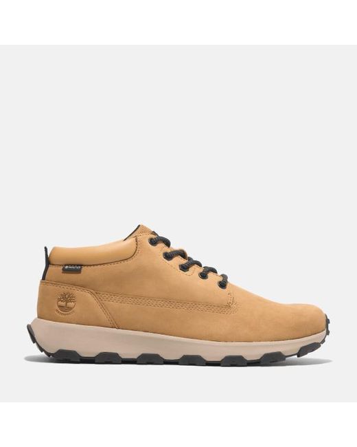 Timberland Brown Winsor Trail Leather Trainer for men