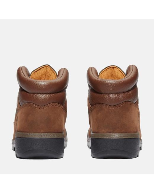 Timberland Brown Field Boot Mid Waterproof Boot For for men