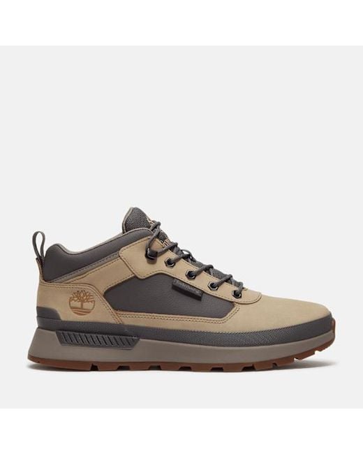 Timberland Brown Field Trekker Trainer For for men