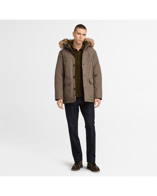 timberland parka scar ridge
