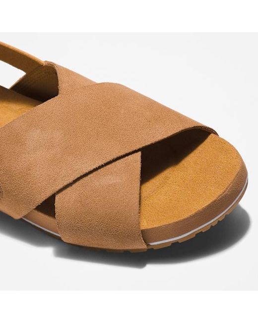 Timberland Brown Malibu Waves Basic Backstrap Sandal For