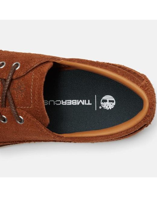 Timberland Brown Britton Mills Shoe For for men