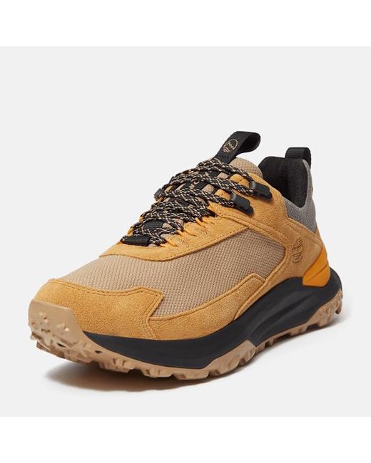 Timberland Brown Motion Access Waterproof Trainer For for men