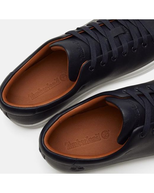 Timberland Blue Dover Park Trainer For for men