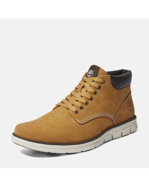Timberland Brown Bradstreet Mid Trainer For for men