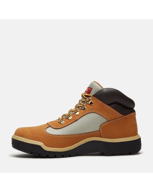 Timberland Brown Re-Engineered Waterproof Field Boot For for men