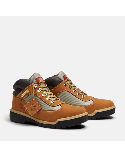 Timberland Brown Re-Engineered Waterproof Field Boot For for men