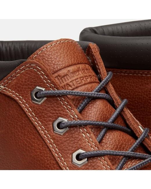 Timberland Brown Road Trip Premium Waterproof Chukka Boot For for men