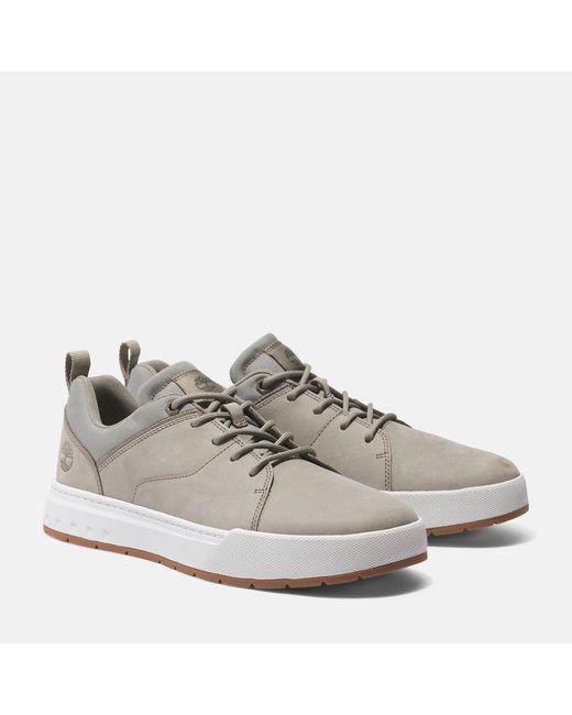 Timberland Gray Maple Grove Trainer for men
