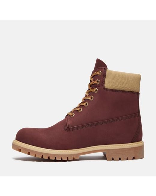 Timberland Brown Premium 6-Inch Waterproof Boot For for men