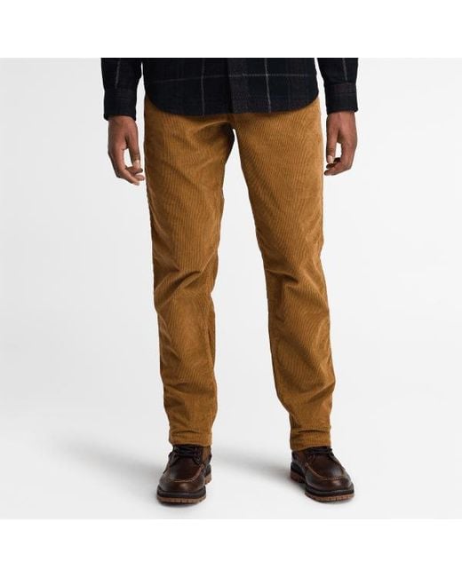 Timberland Black Corduroy Trousers For Men In Dark Yellow, Man, Yellow, Size: 28 for men