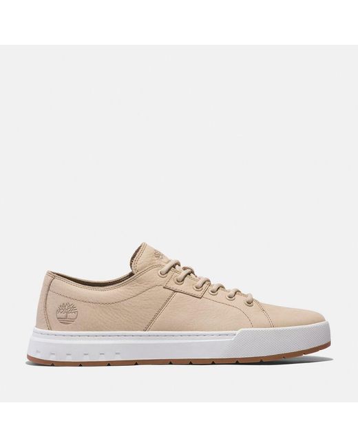 Timberland Pink Maple Grove Trainer for men