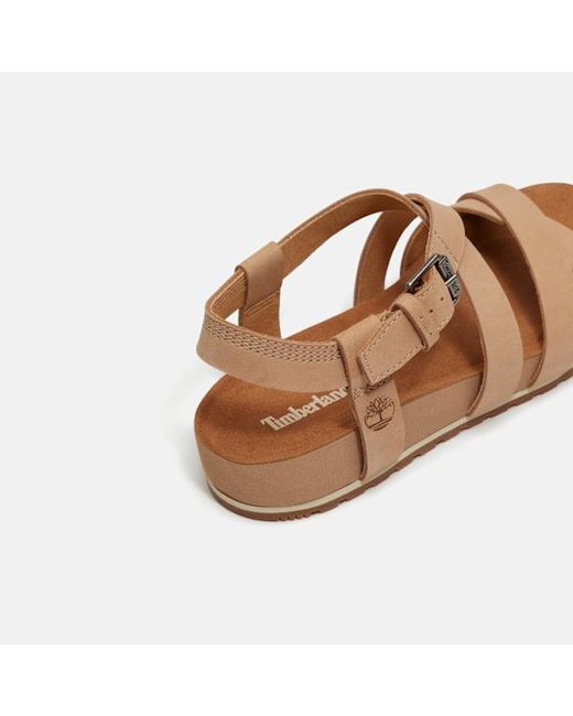 Timberland Brown Malibu Waves Backstrap Sandal For