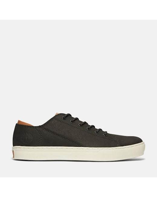 Timberland Black Adventure 2.0 Trainer For for men