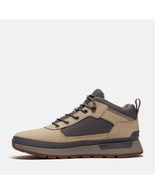Timberland Brown Field Trekker Trainer For for men