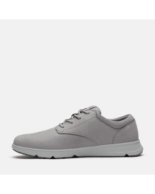 Timberland Gray Parker Street Sneaker for men