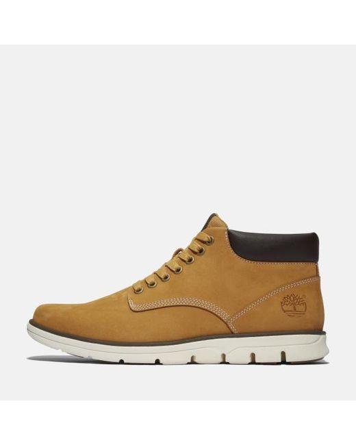 Timberland Brown Bradstreet Mid Trainer For for men