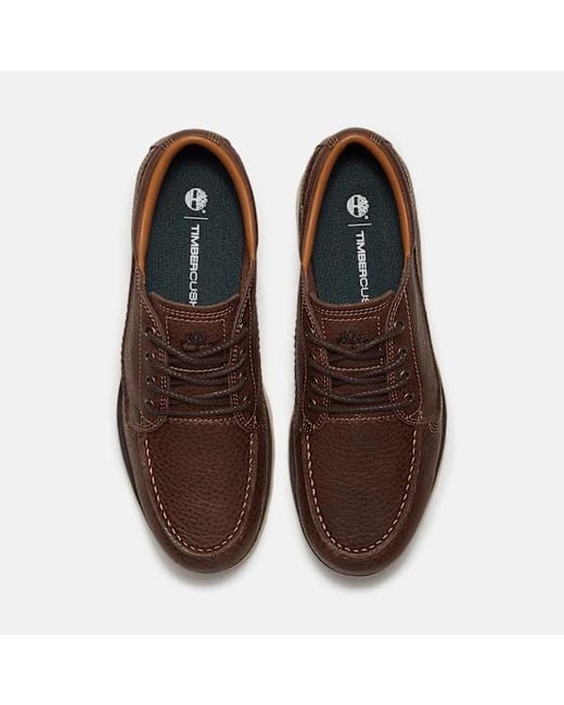 Timberland Brown Britton Mills Shoe For for men