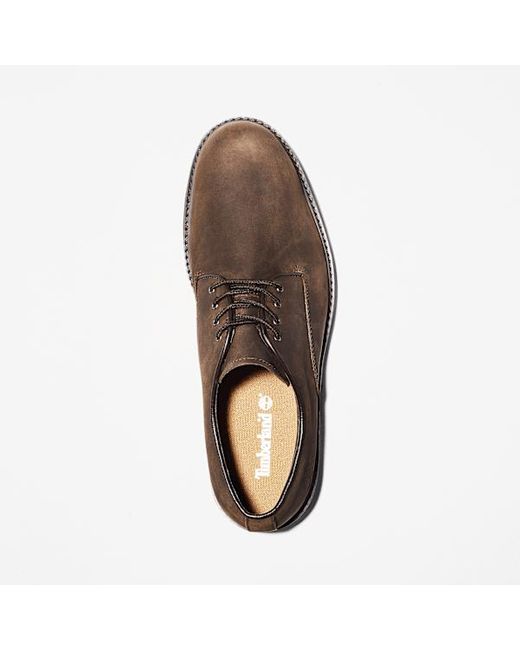 Timberland Brown Stormbucks Waterproof Shoe For for men