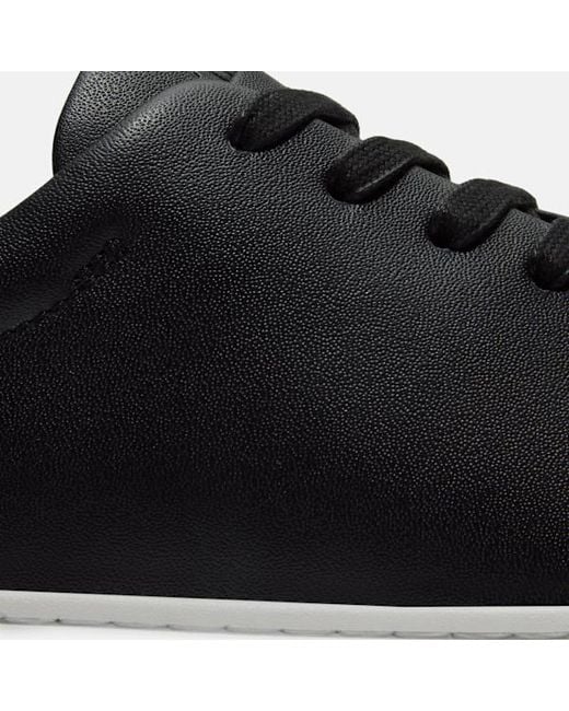 Timberland Black Dover Essential Trainer For for men