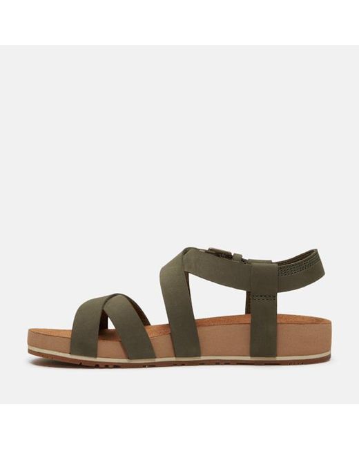Timberland Brown Malibu Waves Backstrap Sandal For
