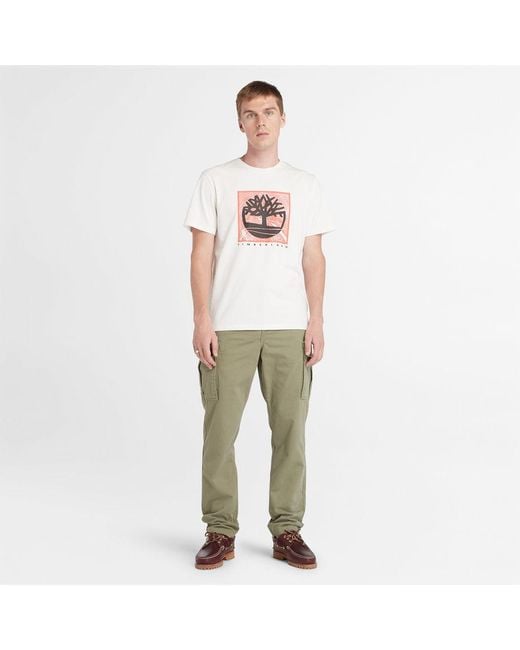 Timberland Green Twill Cargo Trousers for men