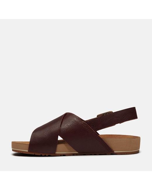 Timberland Brown Malibu Waves Basic Backstrap Sandal For
