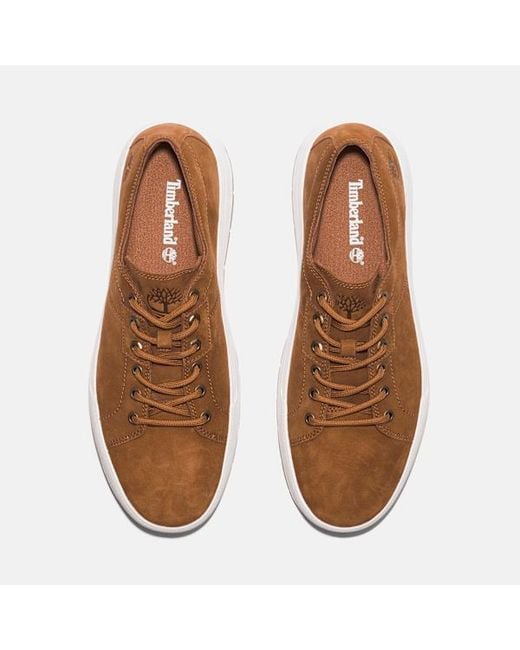 Timberland Brown Maple Grove Trainer For for men