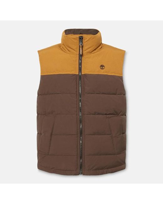 Timberland Brown Welch Mountain Durable Water-Repellent Puffer Gilet For for men