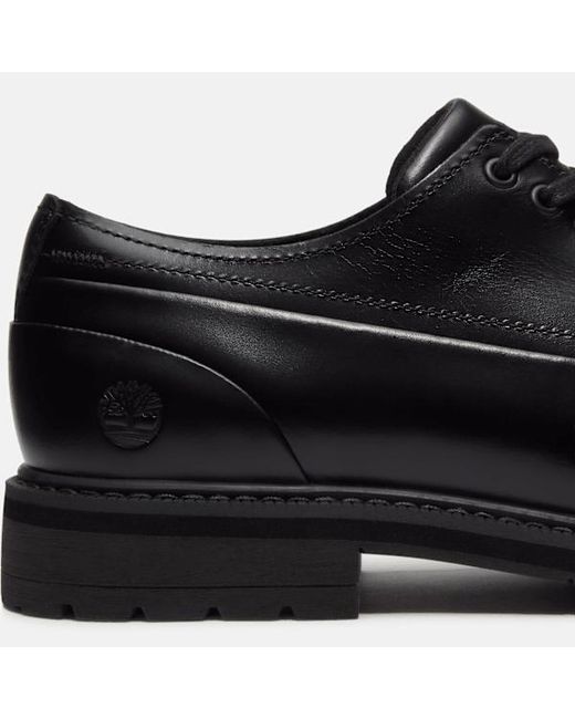 Timberland Black Stormbucks Waterproof Shoe For for men