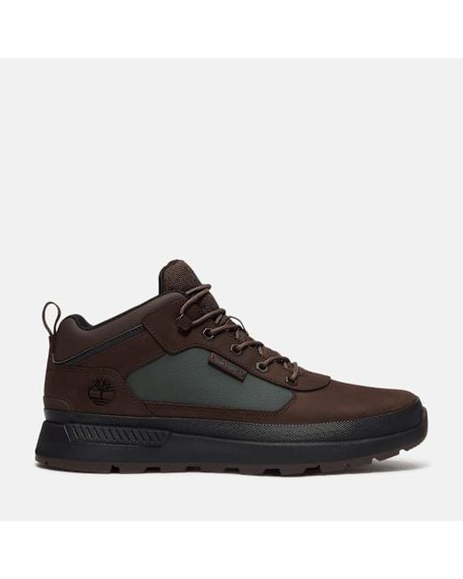 Timberland Brown Field Trekker Sneaker for men