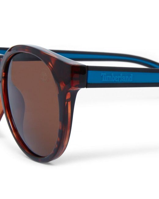 Timberland Brown Advanced Polarised Sunglasses