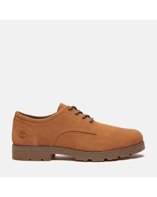 Timberland Brown Britton Square Lace-Up Shoe For for men