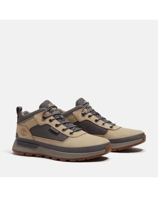 Timberland Brown Field Trekker Trainer For for men