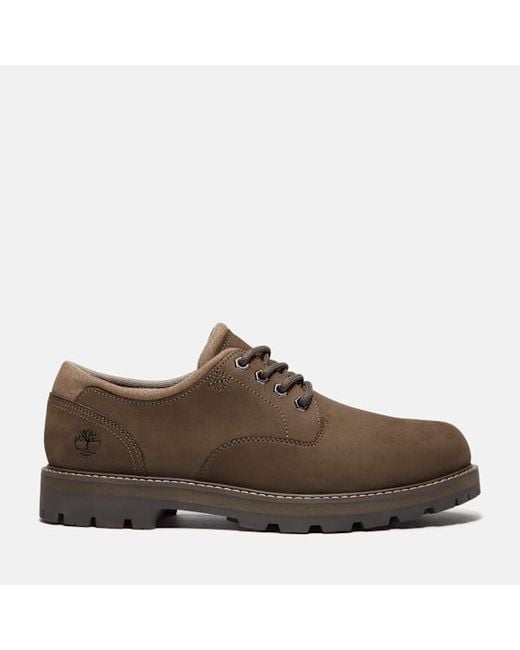 Timberland Brown Britton Road Waterproof Shoe For for men