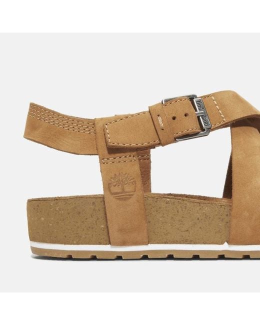 Timberland Brown Malibu Waves Backstrap Sandal For