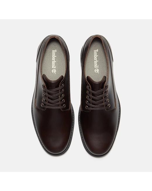 Timberland Black Stormbucks Waterproof Shoe For for men