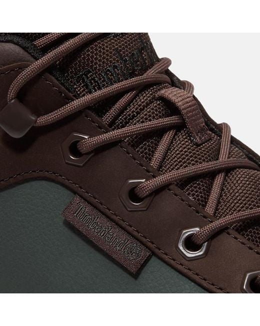 Timberland Brown Field Trekker Sneaker for men