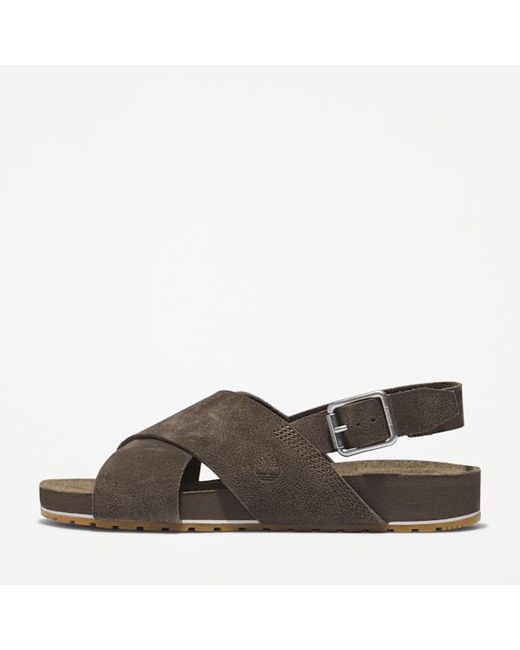Timberland Brown Malibu Waves Basic Backstrap Sandal For