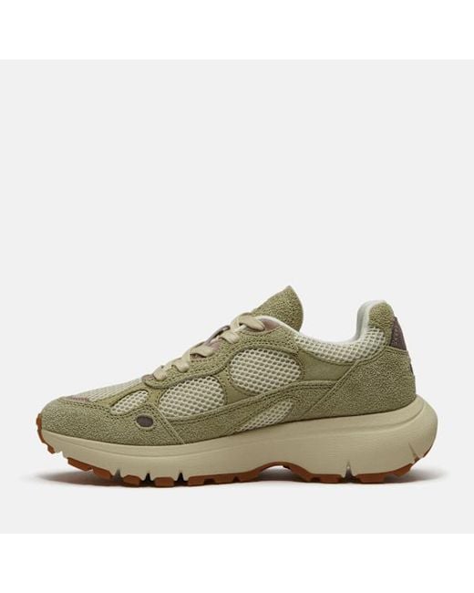 Timberland Gray Hazel Lane Trainer For