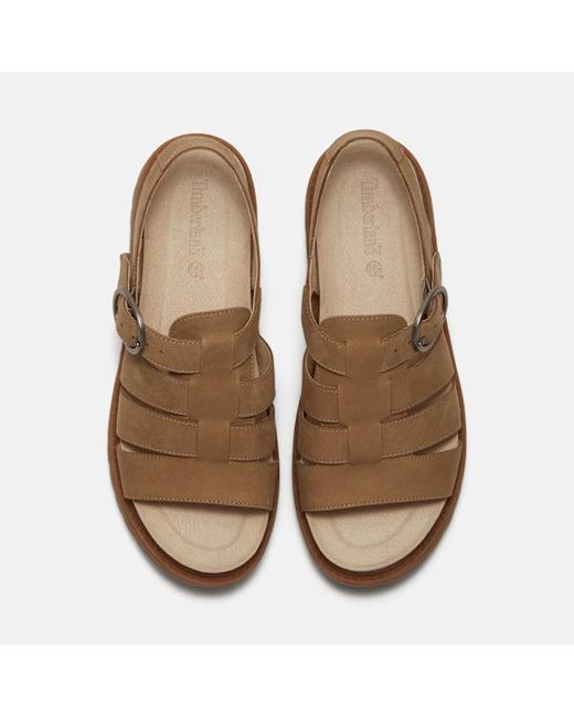 Timberland Brown Clairemont Way Fisherman Sandal For